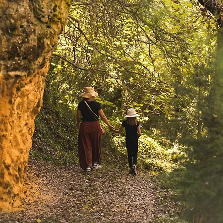 Quinta Raposeiros 아파트 *