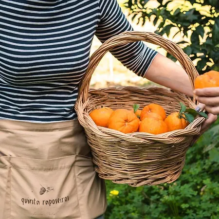 아파트 Quinta Raposeiros Santo Isidoro