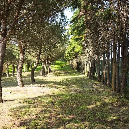 Quinta Raposeiros 아파트