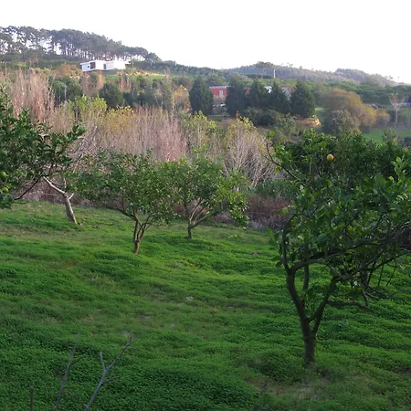 Quinta Raposeiros 아파트 *