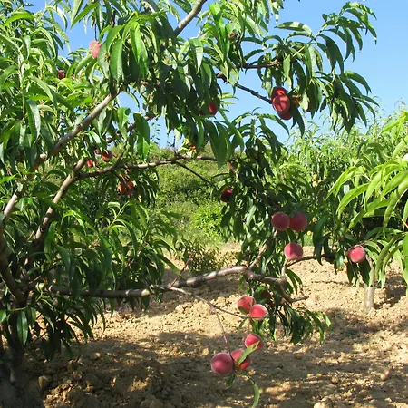 아파트 Quinta Raposeiros Santo Isidoro