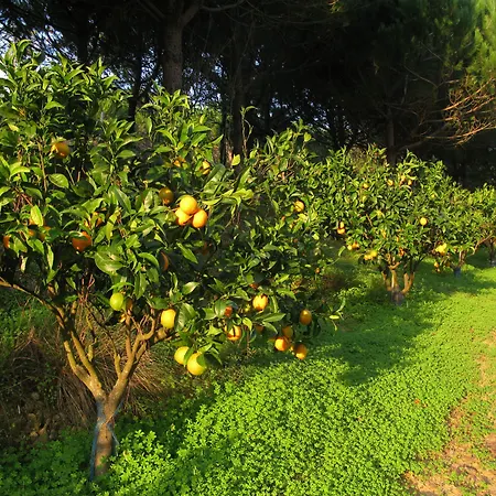 Quinta Raposeiros 아파트