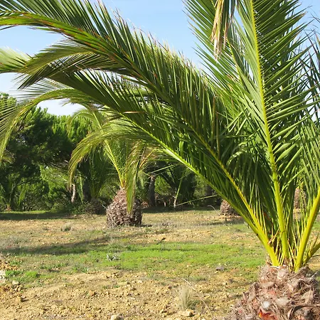 아파트 Quinta Raposeiros