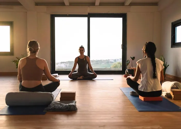 Quinta Raposeiros * Santo Isidoro