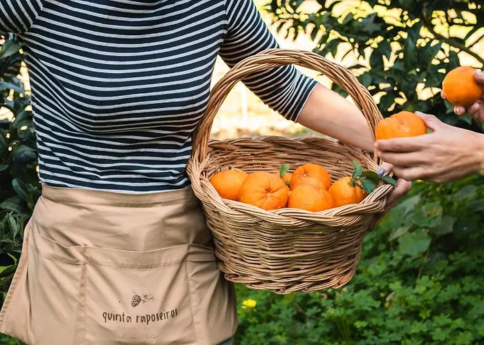 アパート Quinta Raposeiros Santo Isidoro