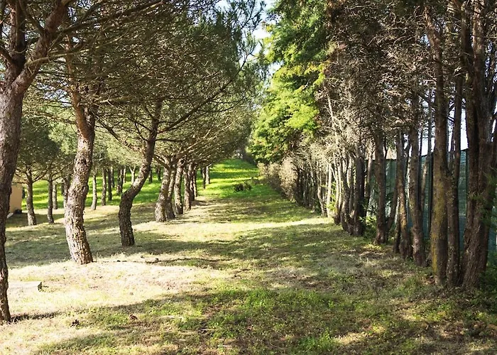 Quinta Raposeiros アパート