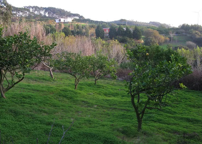 Quinta Raposeiros - Ocean View Ericeira 아파트 *