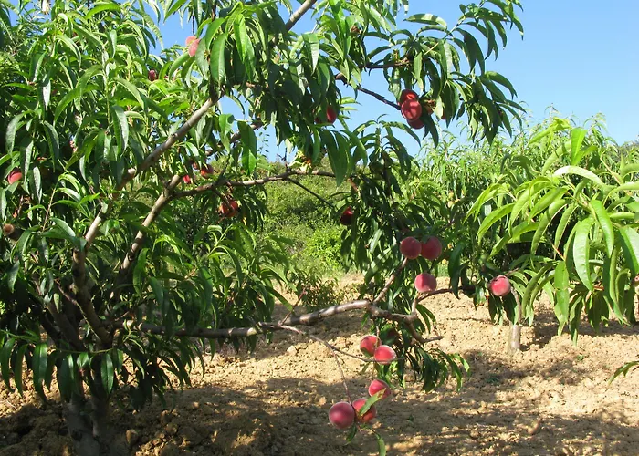 アパート Quinta Raposeiros Santo Isidoro
