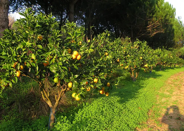 Quinta Raposeiros Lägenhet