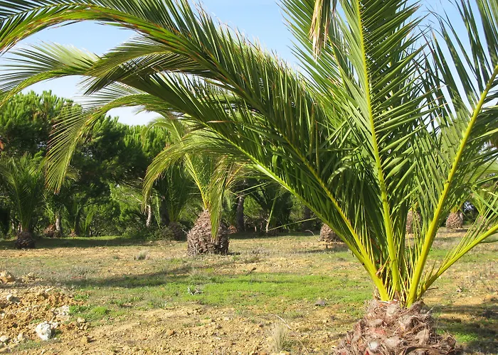 Lägenhet Quinta Raposeiros